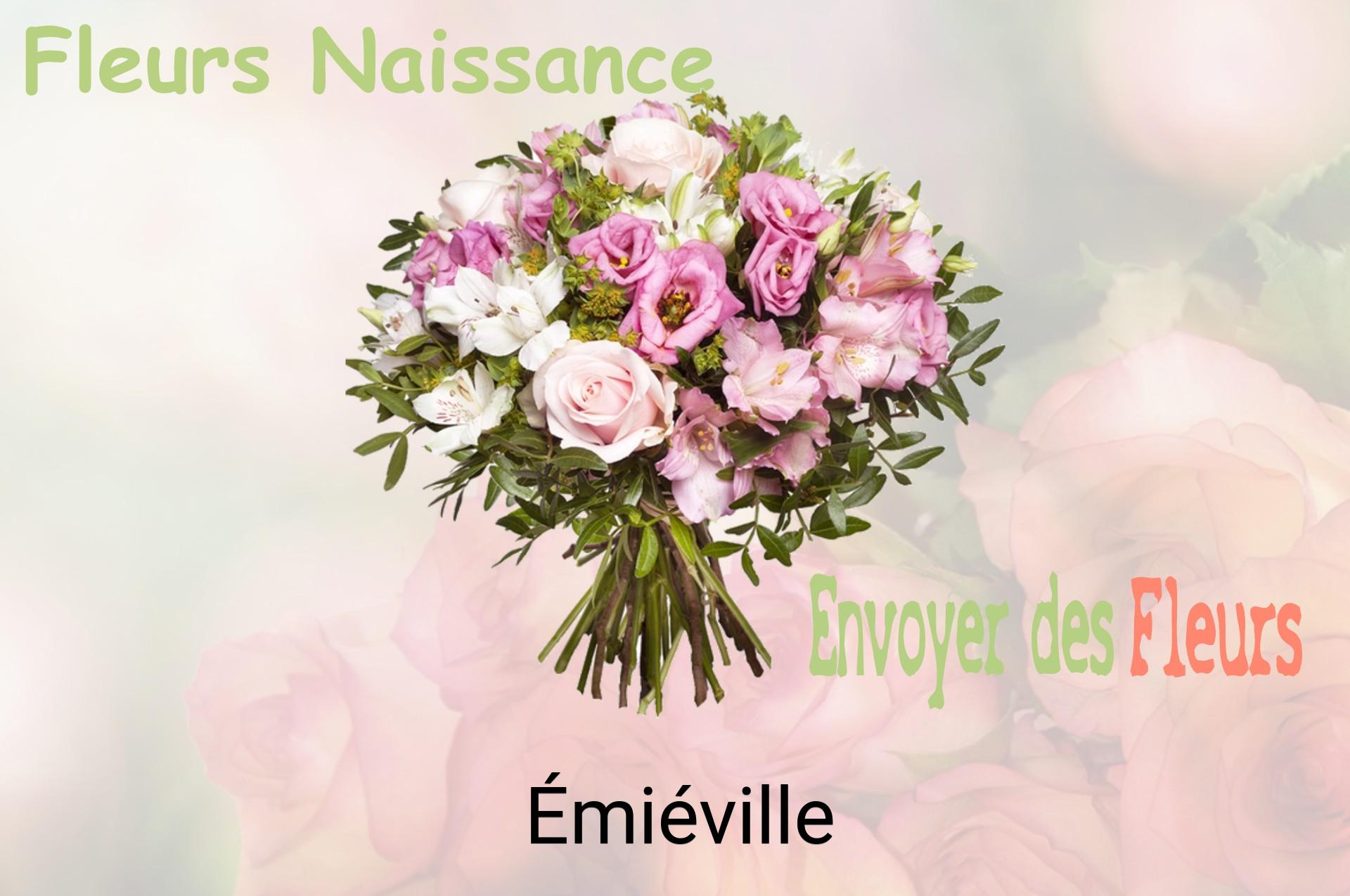 Bouquet de fleurs de naissance livré à Émiéville